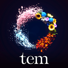 Tem Parttern tem